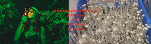 стаф Абаза