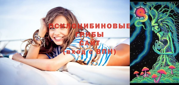 ешки Абинск