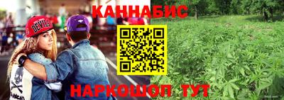 ПСИЛОЦИБИНОВЫЕ ГРИБЫ Северобайкальск
