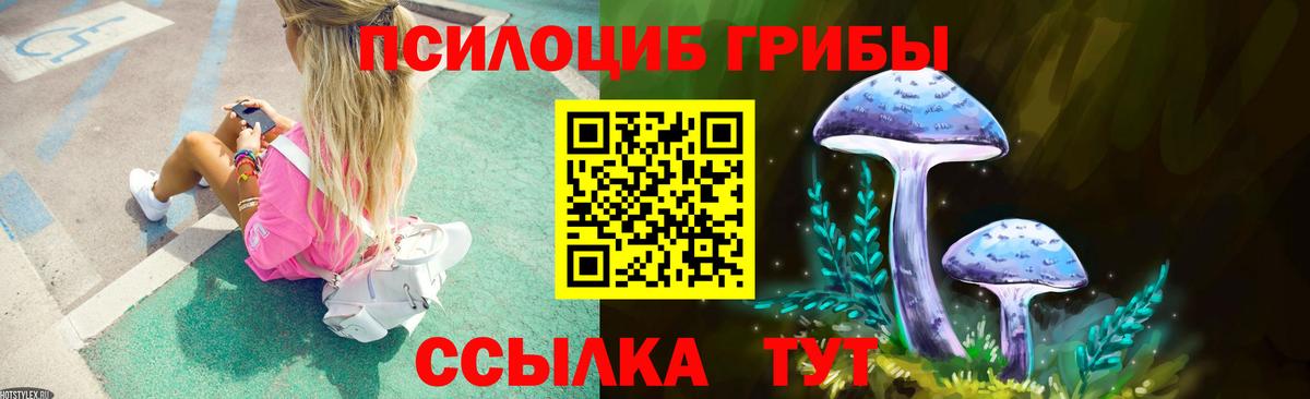 Галлюциногенные грибы GOLDEN TEACHER  Вход с VPN  Псилоцибиновые грибы Psilocybe  Новочебоксарск 